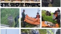 Tim SAR Gabungan Temukan Lokasi Jatuhnya Pesawat