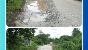 Lubang besar dan badan jalan yang hancur menyebar di jalan raya Monterado menuju Desa Siaga, Bengkayang, Kalimantan Barat – kondisi ini membahayakan keselamatan pengguna jalan dan mengganggu mobilitas masyarakat.