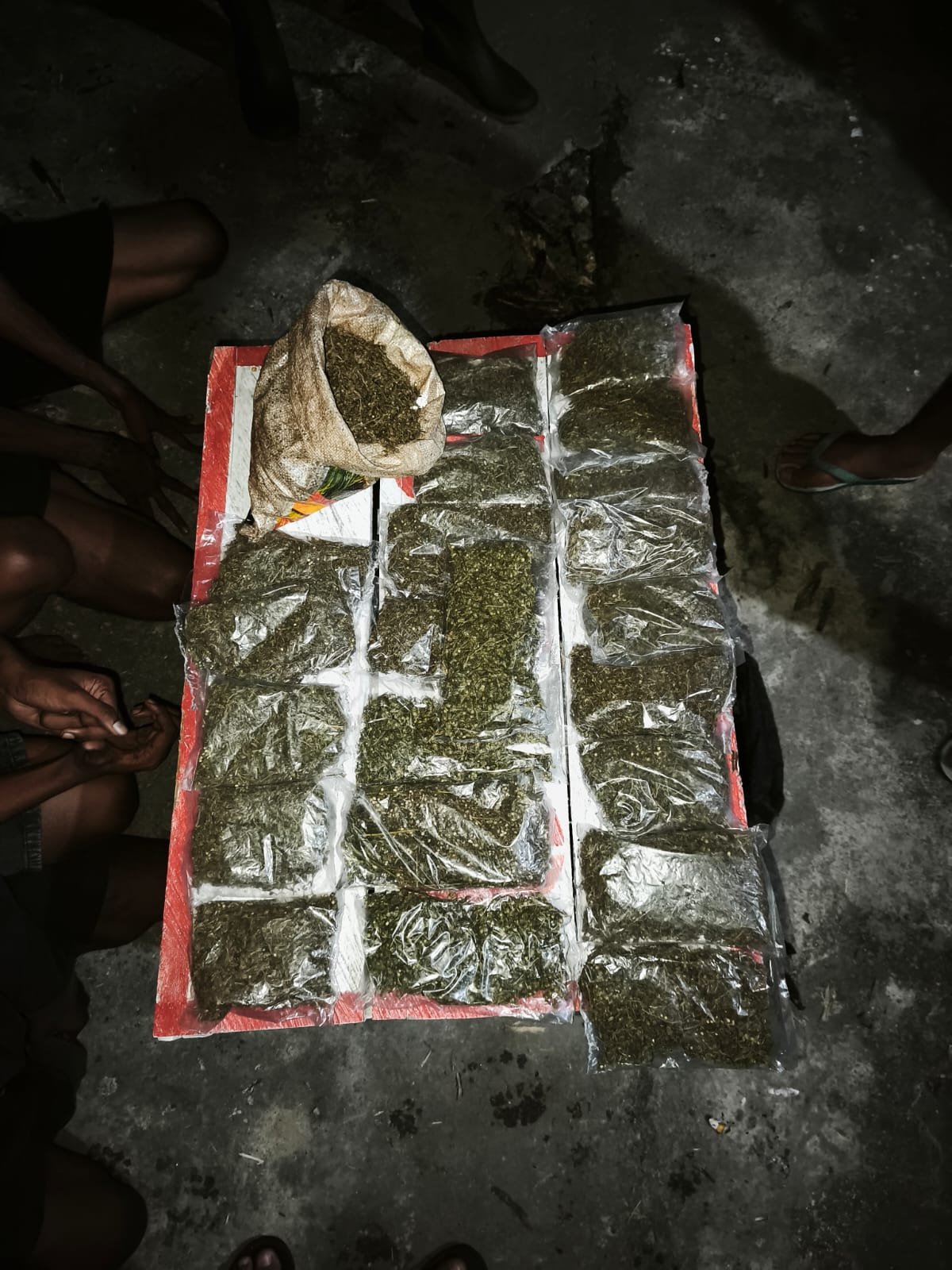 Barang Bukti Pelaku Berupa Ganja. - Thewasesanews.com