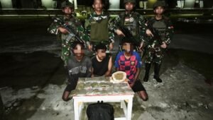 Personel Satgas Yonif 643/Wns saat mengamankan barang bukti ganja dan tersangka penyelundupan narkotika di perbatasan Papua. - thewasesanews.com