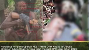 Kontak tembak Koops TNI Papua di Nabire lumpuhkan DPO KKB. - thewasesanews.com