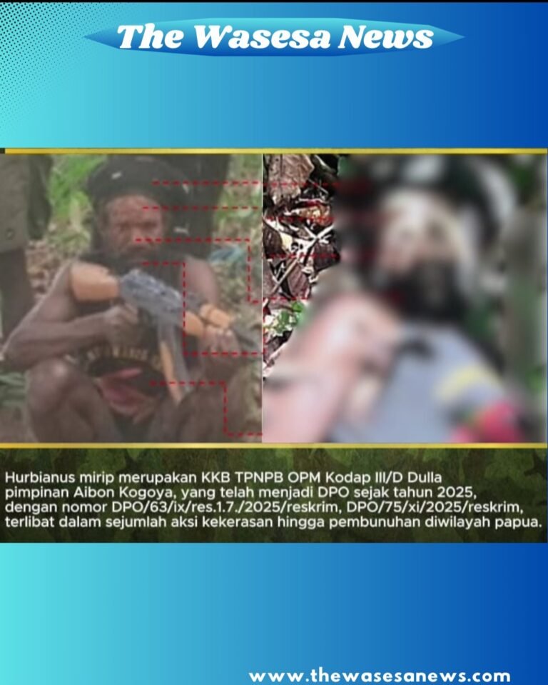 Kontak tembak Koops TNI Papua di Nabire lumpuhkan DPO KKB. - thewasesanews.com