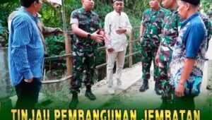 Dandim Tuban Tinjau Jembatan Desa Tawaran Kenduruan. - thewasesanews.com