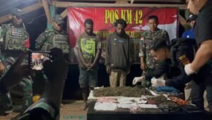 Personel Satgas Yonif 403/WP menunjukkan barang bukti 4 paket ganja kering hasil tangkapan di perbatasan RI-PNG. thewasesanews.com