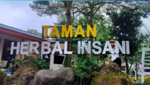 Suasana pengunjung keluarga menikmati wahana edukasi tanaman obat di Taman Herbal Insani Depok. - thewasesanews.com