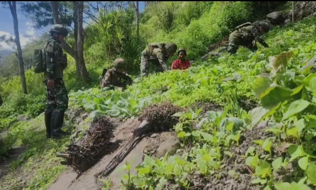 Prajurit Satgas Yonif 521/DY bersama Ibu Sani Siep sedang mencangkul dan menanam bibit di lahan perkebunan Distrik Kurima, Yahukimo. - thewasesanews.com
