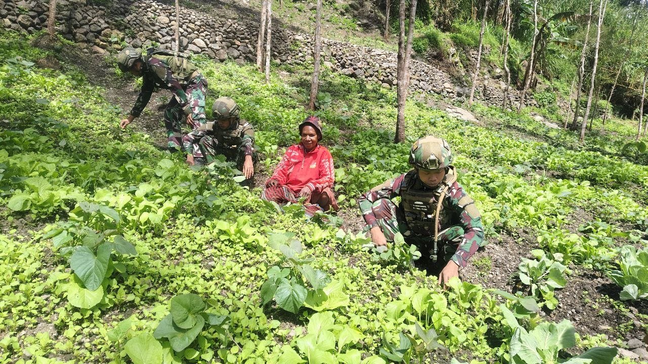 Prajurit Satgas Yonif 521/DY bersama Ibu Sani Siep sedang mencangkul dan menanam bibit di lahan perkebunan Distrik Kurima, Yahukimo. - thewasesanews.com
