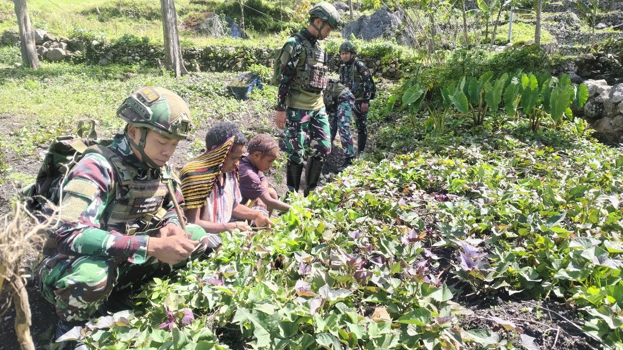 Prajurit Satgas Yonif 521/DY bersama Ibu Sani Siep sedang mencangkul dan menanam bibit di lahan perkebunan Distrik Kurima, Yahukimo. - thewasesanews.com