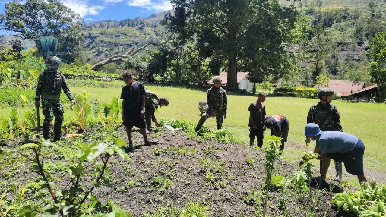 Personel Satgas Yonif 521/DY saat membantu warga Distrik Kurima Yahukimo Papua Pegunungan berkebun guna perkuat ketahanan pangan. - thewasesanews.com