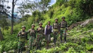 Satgas Yonif 521 DY Perkuat Ketahanan Pangan Masyarakat Distrik Kurima Papua Pegunungan Lewat Aksi Berkebun Bersama. - thewasesanews.com