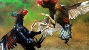 Aktivitas Sabung Ayam di Kampung Pangkalan Tangerang Resahkan Warga Diduga Jadi Ajang Perjudian Ilegal. - thewasesanews.com