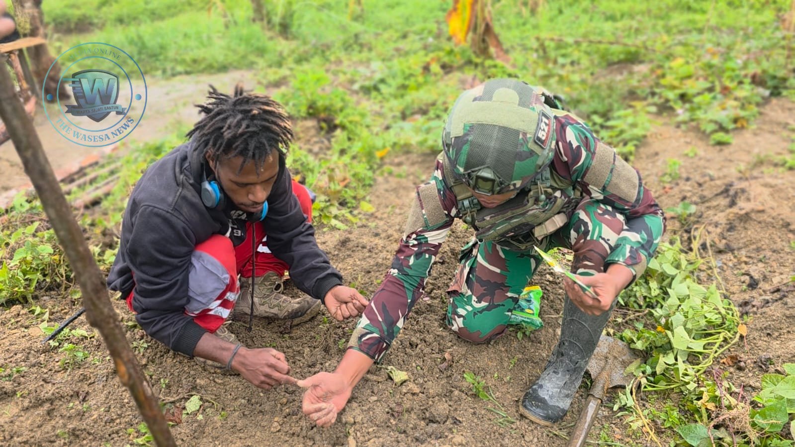 Satgas Pamtas Yonif 521 DY Perkuat Ketahanan Pangan Papua Pegunungan Bagikan Bibit Pertanian di Distrik Eragayam. - thewasesanews.com