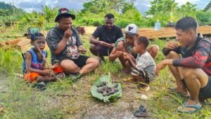 Sisi Humanis TMMD 128 Kodim 1801 Manokwari Bakar Singkong dan Cengkrama dengan Warga Tanah Rubuh. - thewasesanews.com