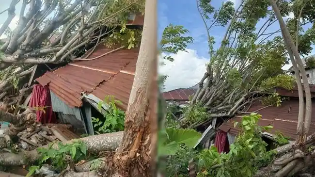 Kapolres Bitung AKBP Albert Zai bersama personel kepolisian membantu membersihkan puing rumah warga yang roboh pasca gempa Magnitudo 7,6. - thewasesanews.com
