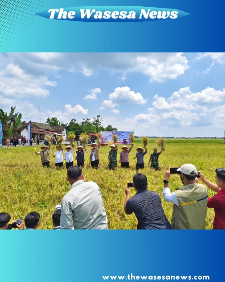 Direktur Utama Perum BULOG Ahmad Rizal Ramdhani bersama petani di Desa Baderan, Ngawi, saat melakukan panen raya padi musim tanam pertama 2026. - thewasesanews.com