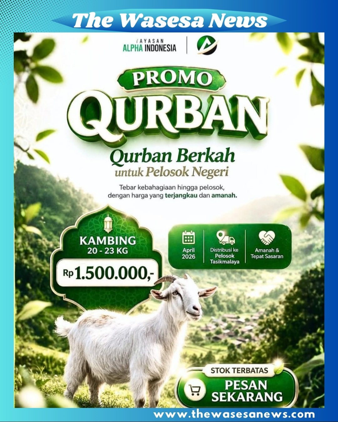 Anak-anak yatim di Rumah Asuh Fadhilah Yatim Ihsan Yayasan Alpha Indonesia menyambut persiapan Idul Qurban 1447 H. - thewasesanews.com