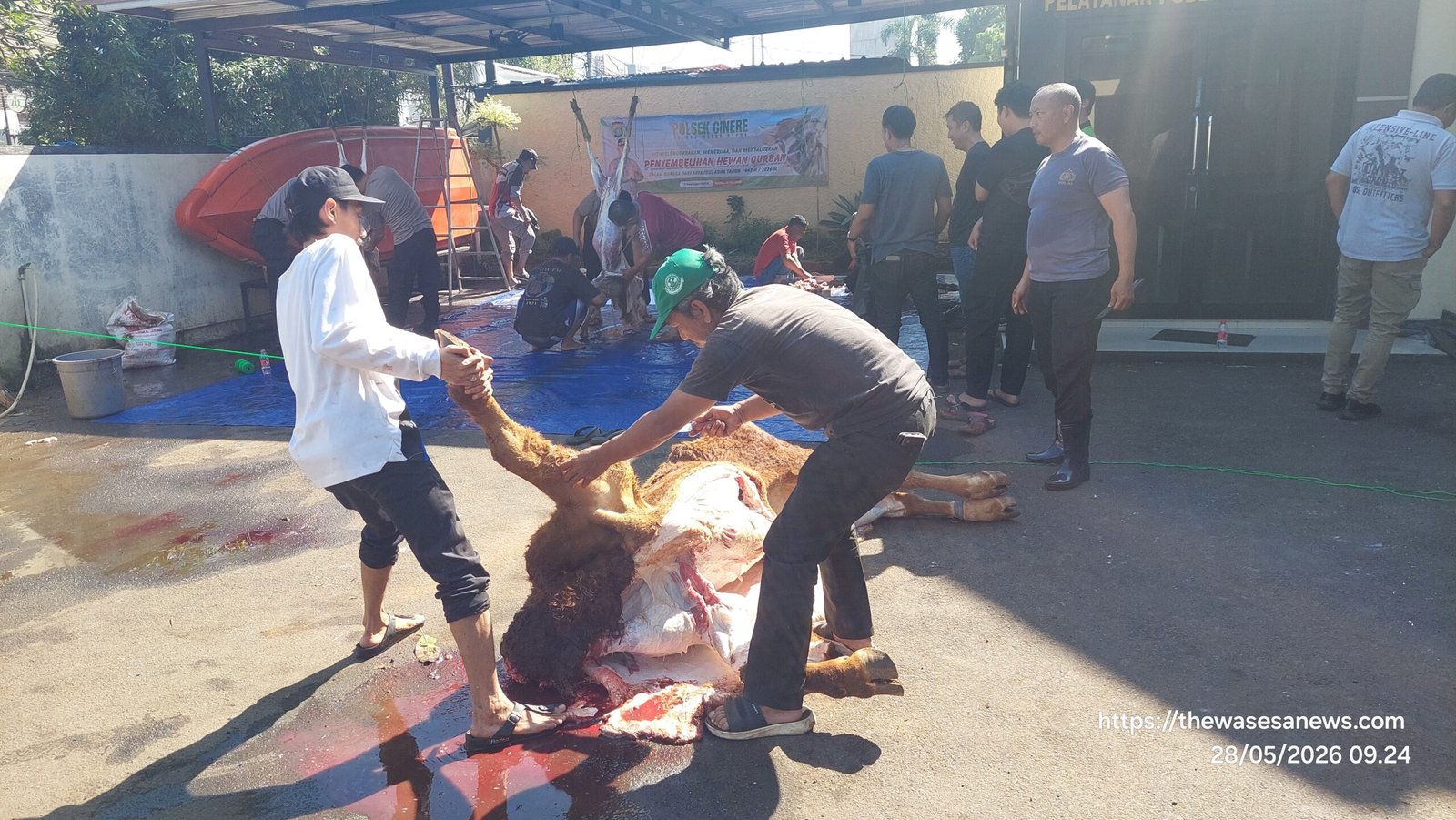 Polsek Cinere dan MWC NU Sembelih Hewan Kurban Idul Adha 1447 H. - thewasesanews.com