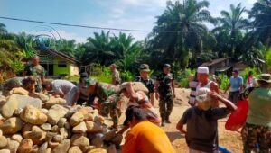 TNI Bangun Jembatan Modular Tapsel Hubungkan Dua Kecamatan. - thewasesanews.com