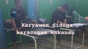 16 Karyawan Tambang Halteng Keracunan Makanan di Site Fritu. - thewasesanews.com