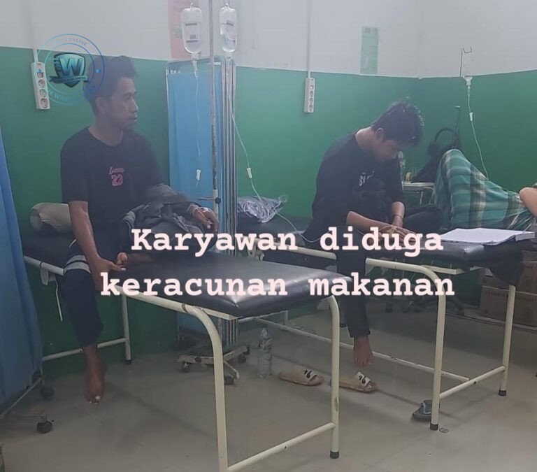 16 Karyawan Tambang Halteng Keracunan Makanan di Site Fritu. - thewasesanews.com