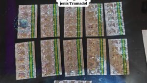 Polsek Pakuhaji Bongkar Peredaran Obat Keras Ilegal Tramadol. - thewasesanews.com