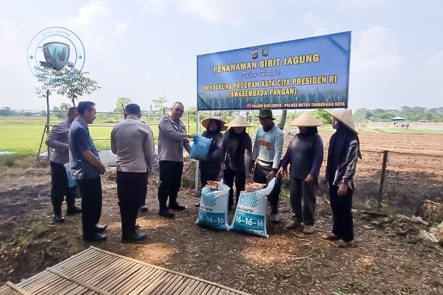 Polres Metro Tangerang Kota Tanam Jagung Pipil di Batuceper. - thewasesanews.com