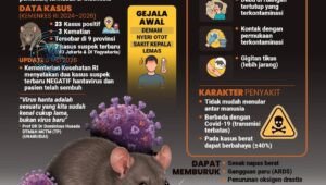 Waspada Hantavirus di Indonesia: Gejala, Pencegahan, dan Data Terbaru. - thewasesanews.com