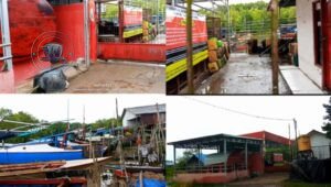 Mafia BBM Subsidi Tanah Laut: Hak Nelayan Kuala Tambangan Dirampok. - thewasesanews.com