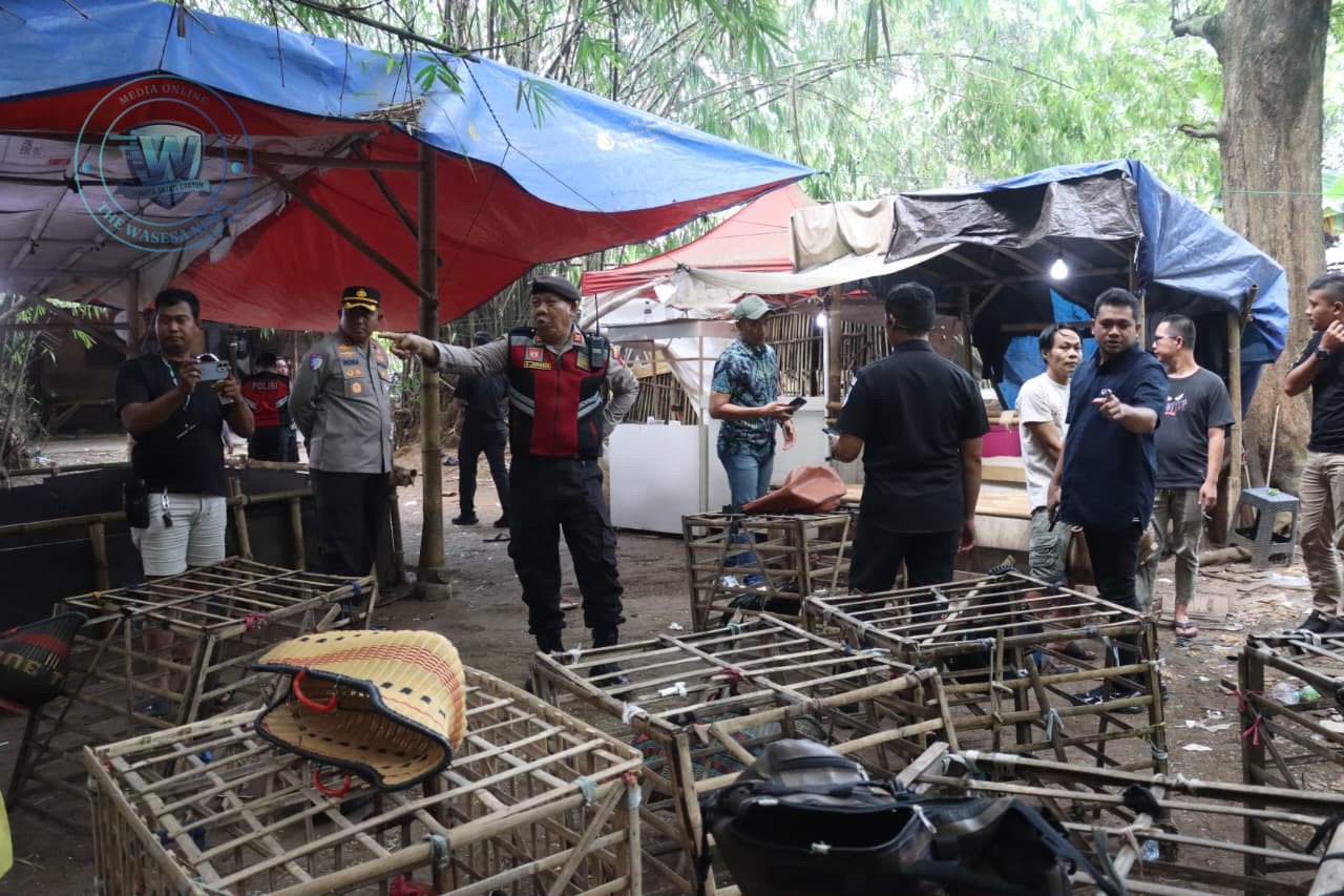 Polresta Tangerang Gerebek Judi Sabung Ayam di Jayanti, Motor Disita. - thewasesanews.com