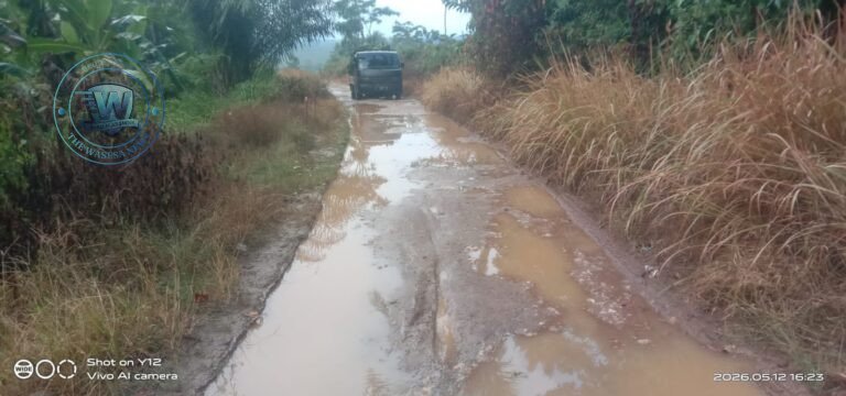 GWI Desak Pemkab Pandeglang Perbaiki Jalan Rusak Cisiih–Cisaat–Campaka. - thewasesanews.com