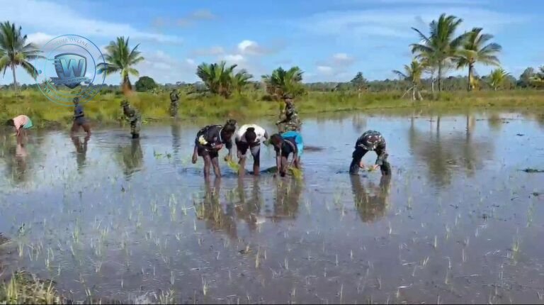 Satgas Yonif 123/Rajawali Tanam Padi Bersama Warga Distrik Kimaam. - thewasesanews.com