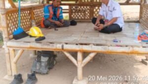 GWI Apresiasi Respons Cepat PLN ULP Malingping di Desa Tanjungan. - thewasesanews.com