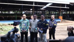 Polda Metro Jaya Cek Hewan Kurban di Dharma Jaya. - thewasesanews.com