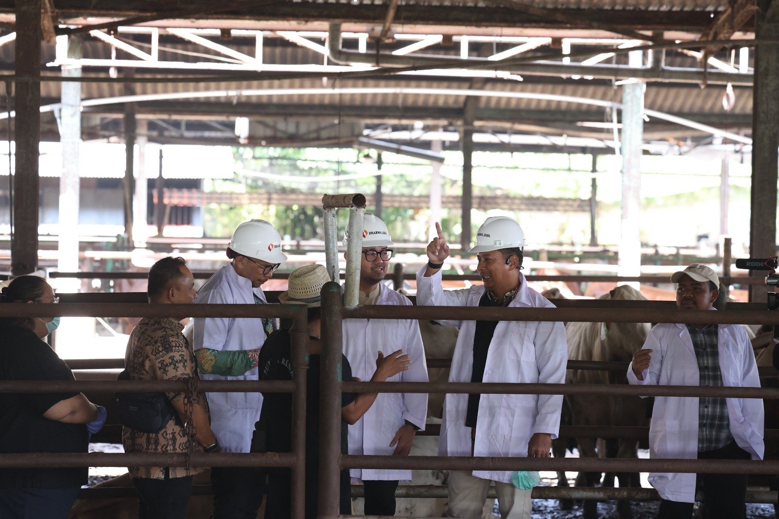 Polda Metro Jaya Cek Hewan Kurban di Dharma Jaya. - thewasesanews.com