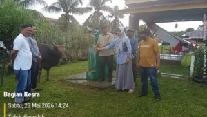 Pemkab Halmahera Tengah Salurkan 49 Sapi Kurban ke Seluruh Desa Muslim. - thewasesanews.com