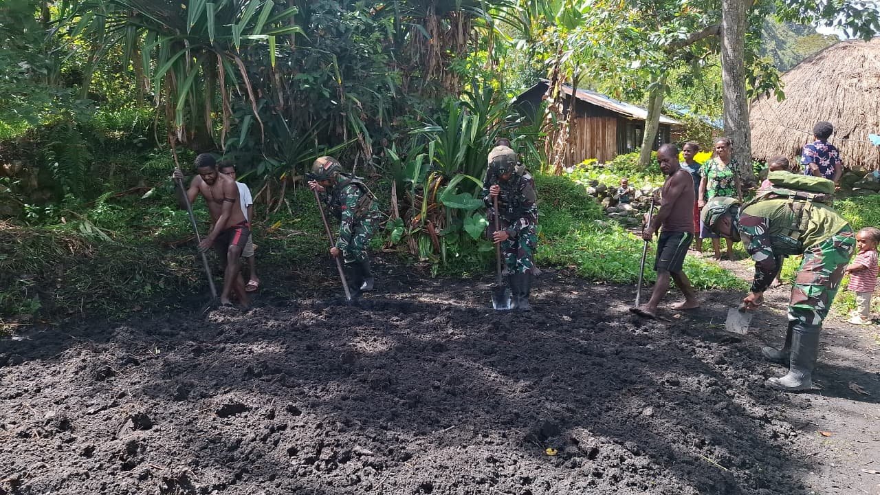 Satgas Yonif 521 Dukung Ketahanan Pangan Pertanian Distrik Kurima. - thewasesanews.com