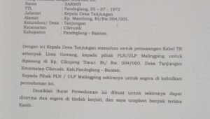 Warga Desa Tanjungan Keluhkan Lambatnya Penanganan PLN ULP Malingping. - thewasesanews.com