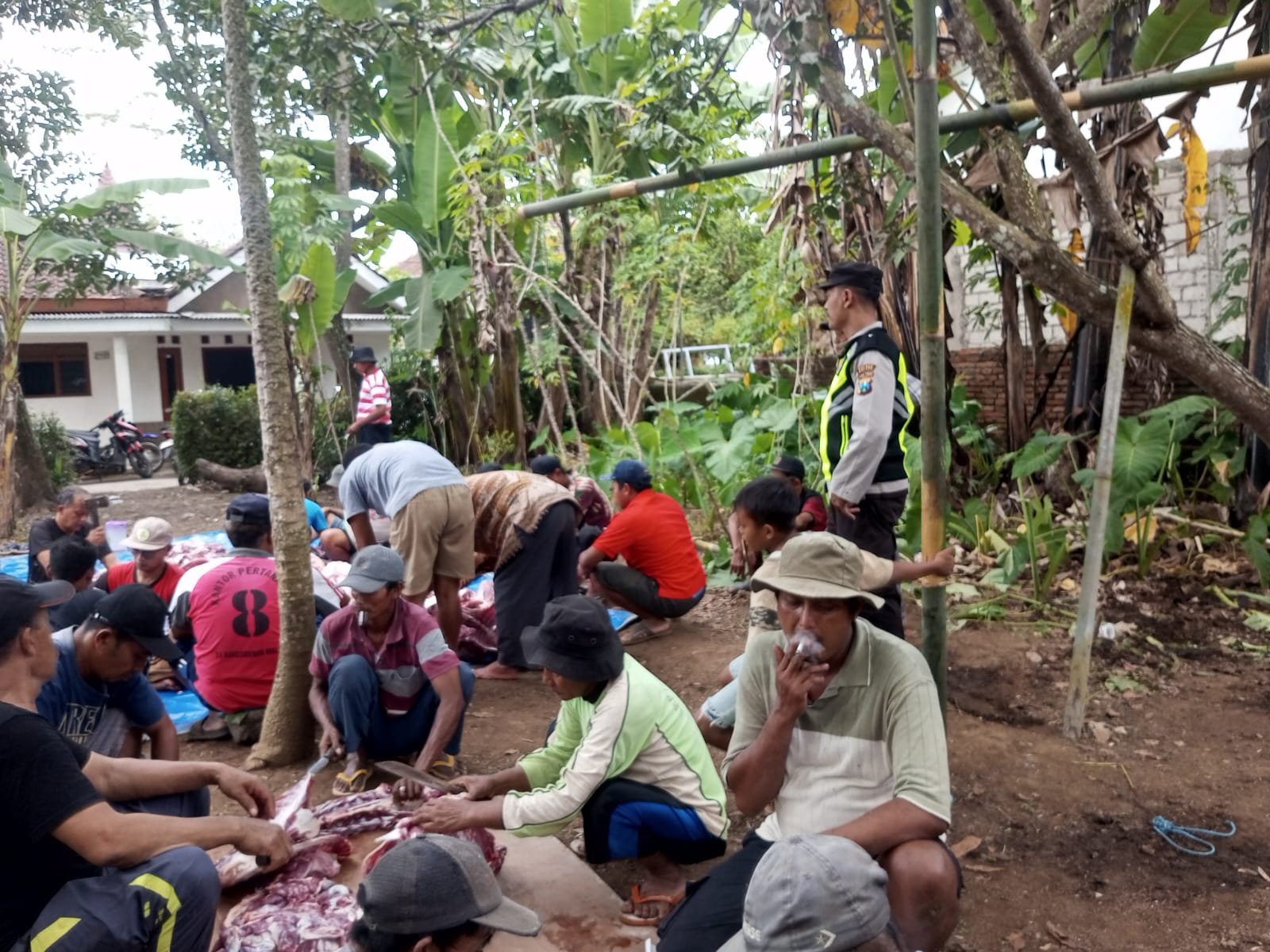 Masjid Baiturrahim Bandaragin Sembelih 33 Kambing Kurban Idul Adha 1447 H. - thewasesanews.com