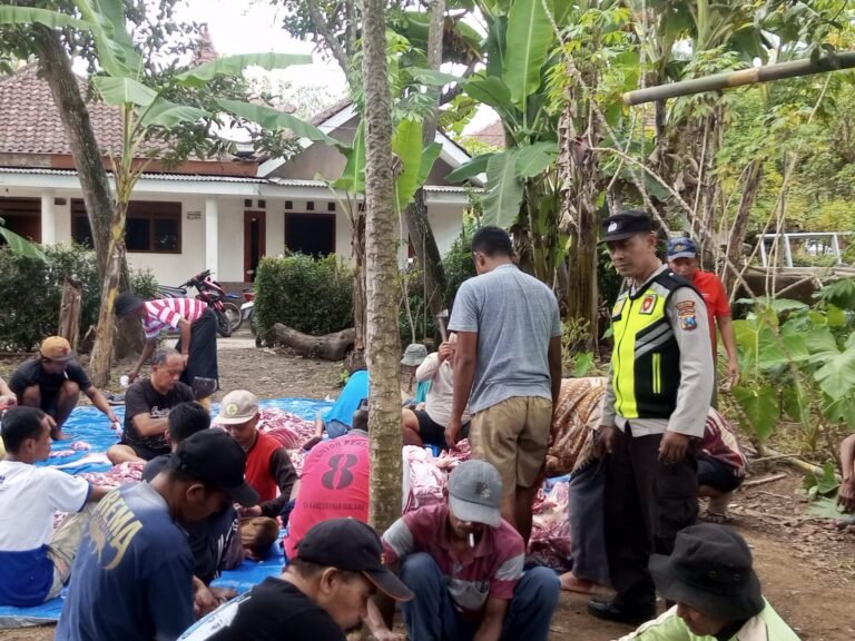 Masjid Baiturrahim Bandaragin Sembelih 33 Kambing Kurban Idul Adha 1447 H. - thewasesanews.com