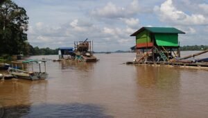 Polres Sekadau Diminta Tindak Dugaan PETI Emas di Sungai Kapuas Desa Tanjung. - thewasesanews.com