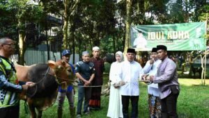 danrem-083-bdj-serahkan-hewan-kurban-rampal-malang. - thewasesanews.com