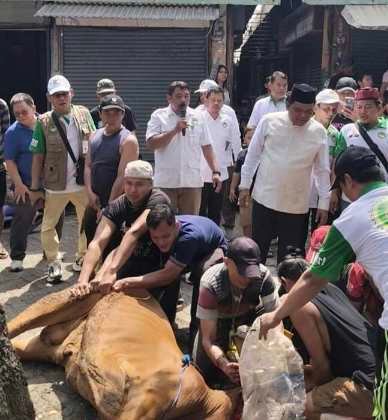 APPSI Jakarta Barat Sembelih 5 Sapi Kurban Idul Adha di Pasar Duta Mas. - thewasesanews.com