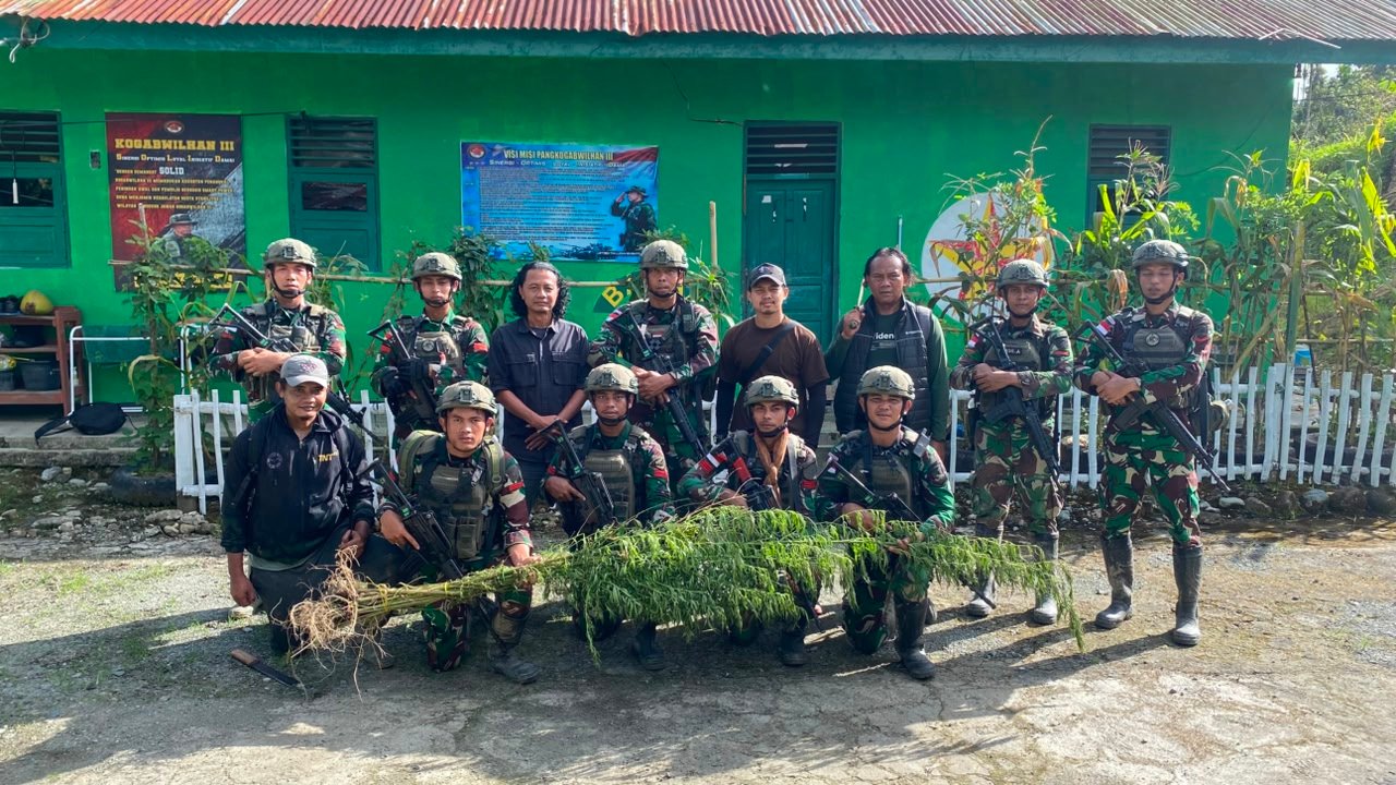 Satgas Yonif 643 Wns Temukan Ladang Ganja di Perbatasan Papua. - thewasesanews.com