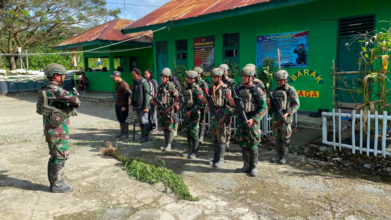 Satgas Yonif 643 Wns Temukan Ladang Ganja di Perbatasan Papua. - thewasesanews.com