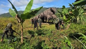 Satgas Yonif 521/DY Perkuat Ketahanan Pangan Warga Benawa Yalimo Papua. - thewasesanews.com