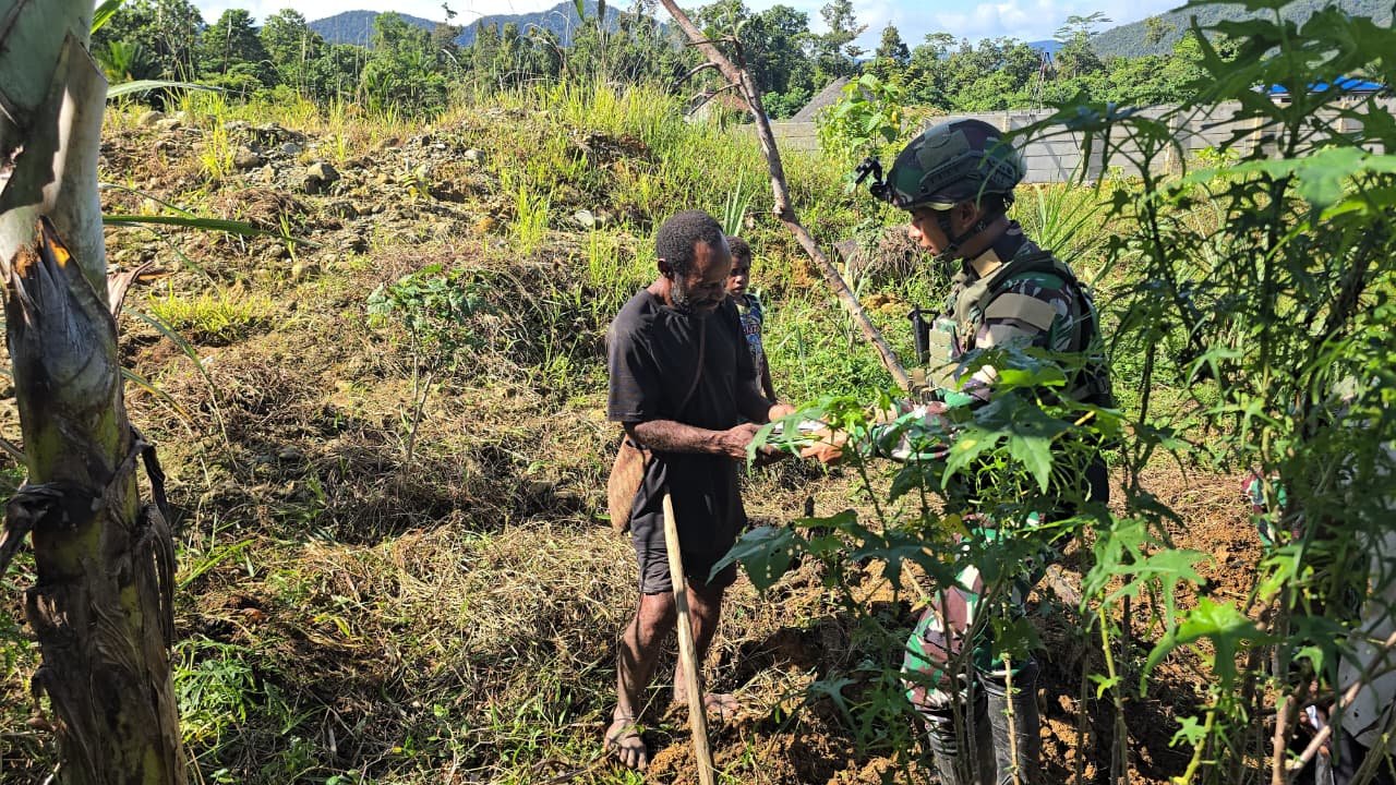 Satgas Yonif 521/DY Perkuat Ketahanan Pangan Warga Benawa Yalimo Papua. - thewasesanews.com