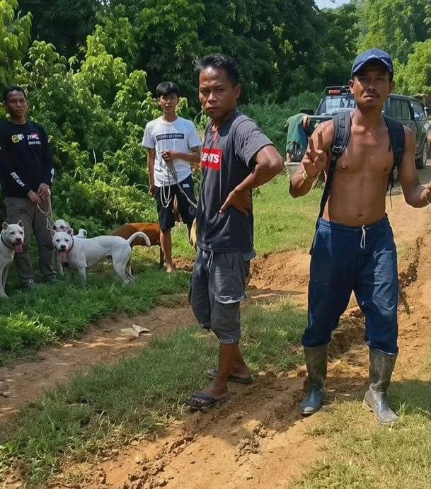 Bocah di Jasinga Diduga Diserang Anjing Pemburu Hingga Tewas. - thewasesanews.xom