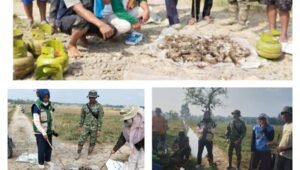 Babinsa Bahuga Gelar Gropyokan Hama Tikus di Way Kanan. - thewasesanews.com