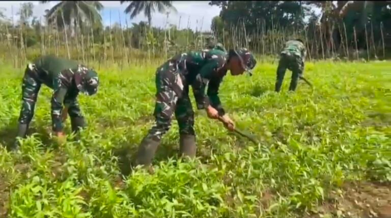 Satgas Yonif 123/Rajawali Wujudkan Ketahanan Pangan di Papua Selatan. - thewasesanews.com