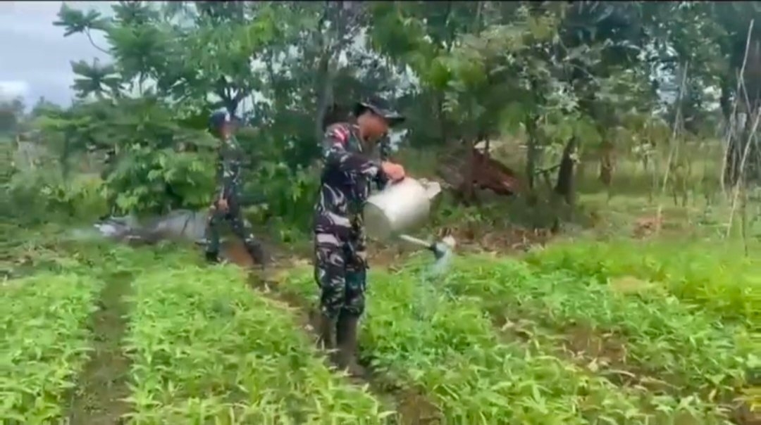 Satgas Yonif 123/Rajawali Wujudkan Ketahanan Pangan di Papua Selatan. - thewasesanews.com